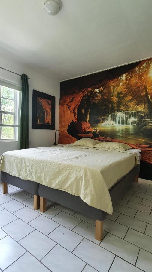 Apartment Greenflash Kralendijk na wyspie Bonaire Zewnętrze zdjęcie