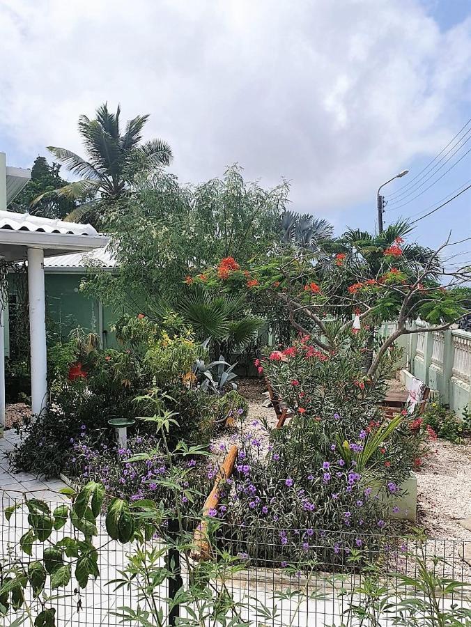 Apartment Greenflash Kralendijk na wyspie Bonaire Zewnętrze zdjęcie