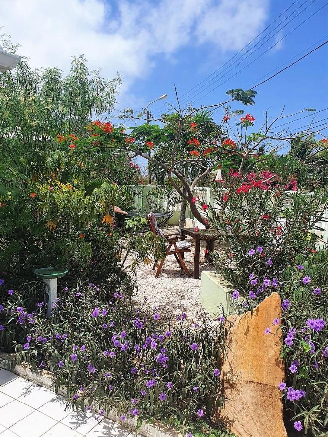 Apartment Greenflash Kralendijk na wyspie Bonaire Zewnętrze zdjęcie